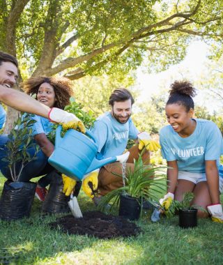 group-of-volunteer-planting.jpg